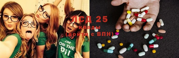 PSILOCYBIN Баксан