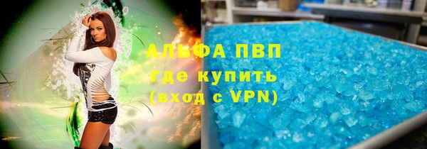 PSILOCYBIN Баксан